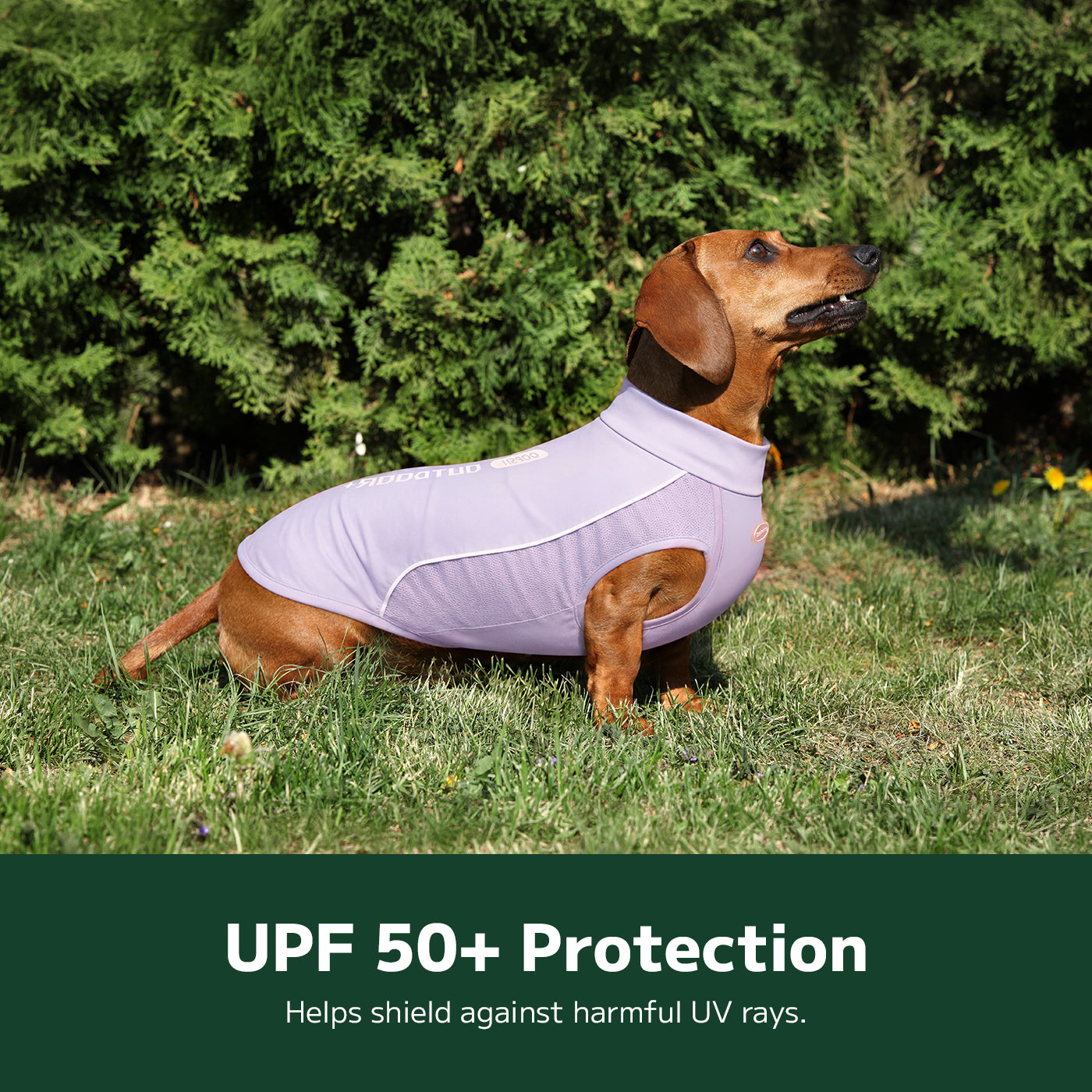 Sunblock Dog Cooling Shirt