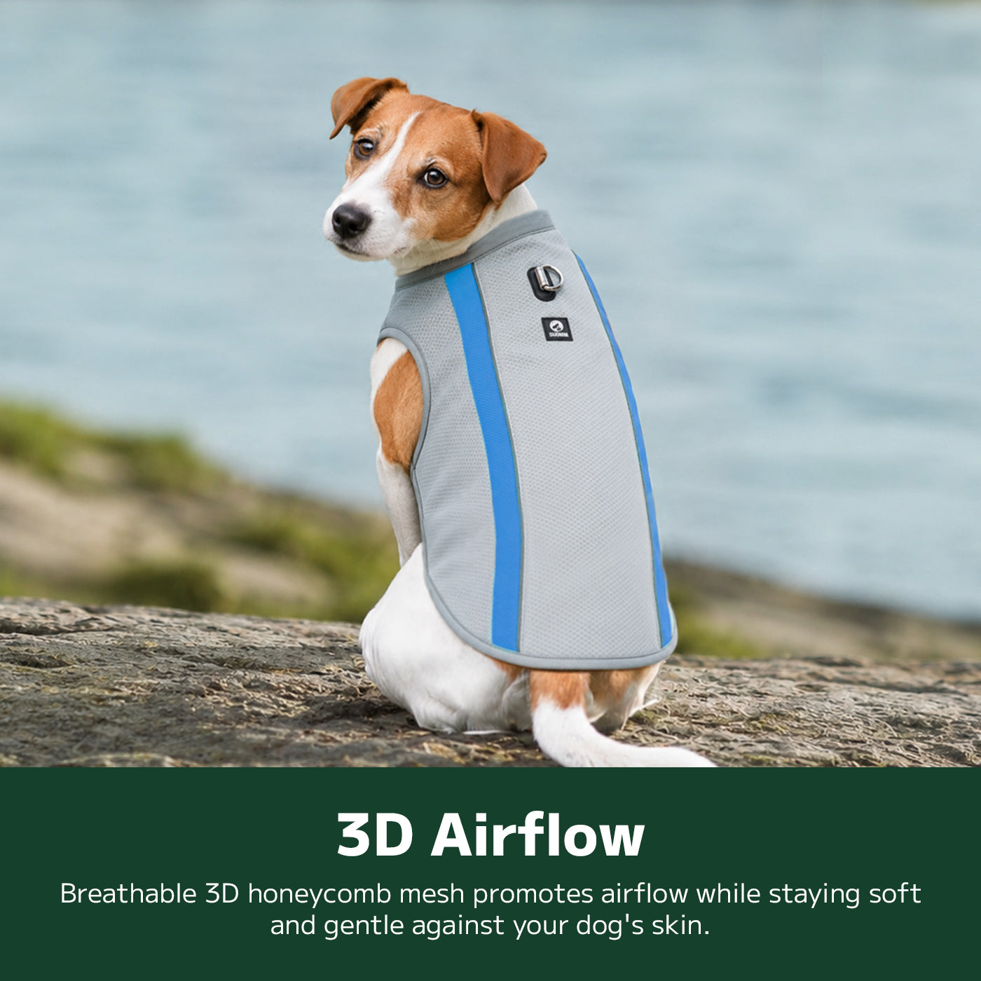 Large Breed Cooling Vest