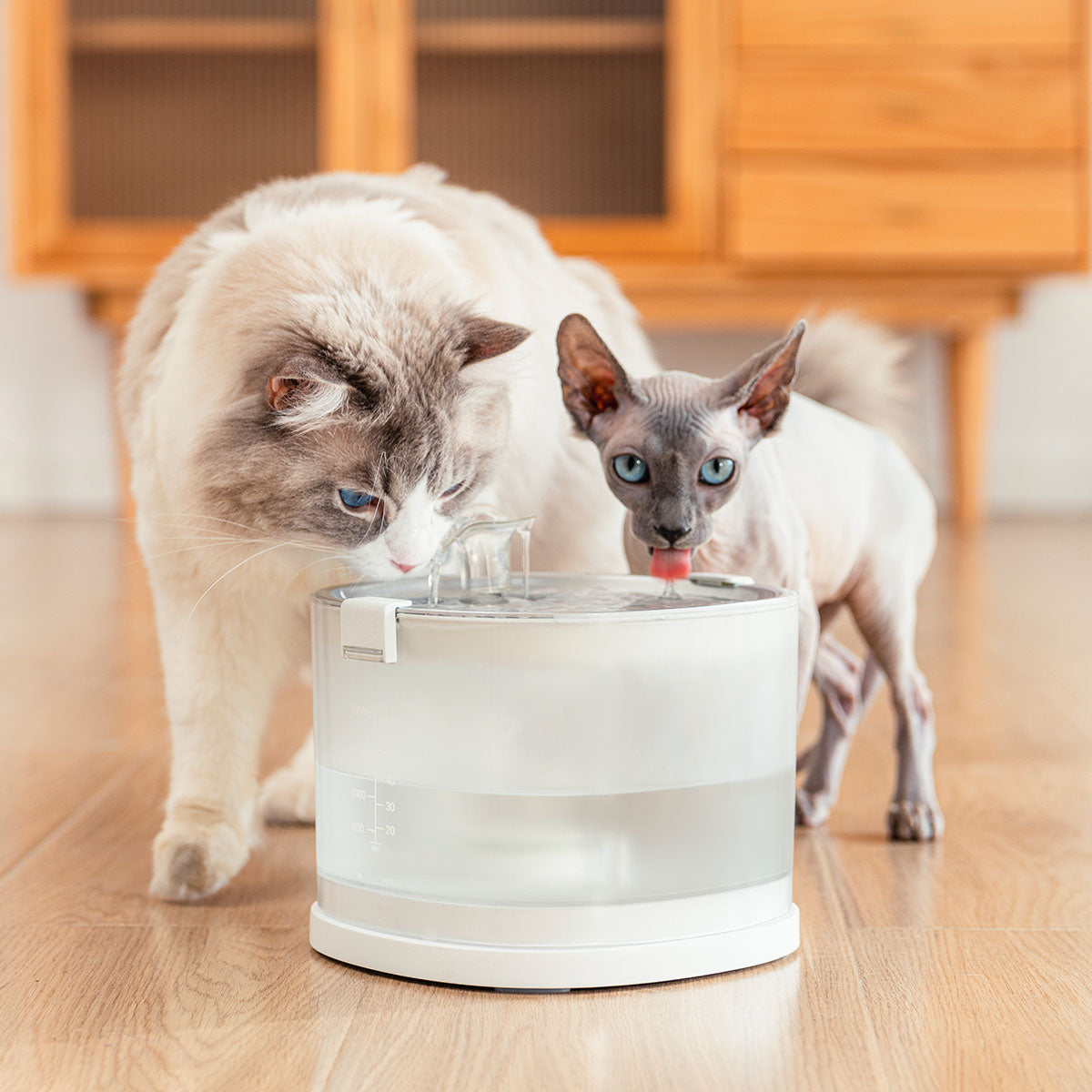 All Clean Combo for E1+/ D1 Pro