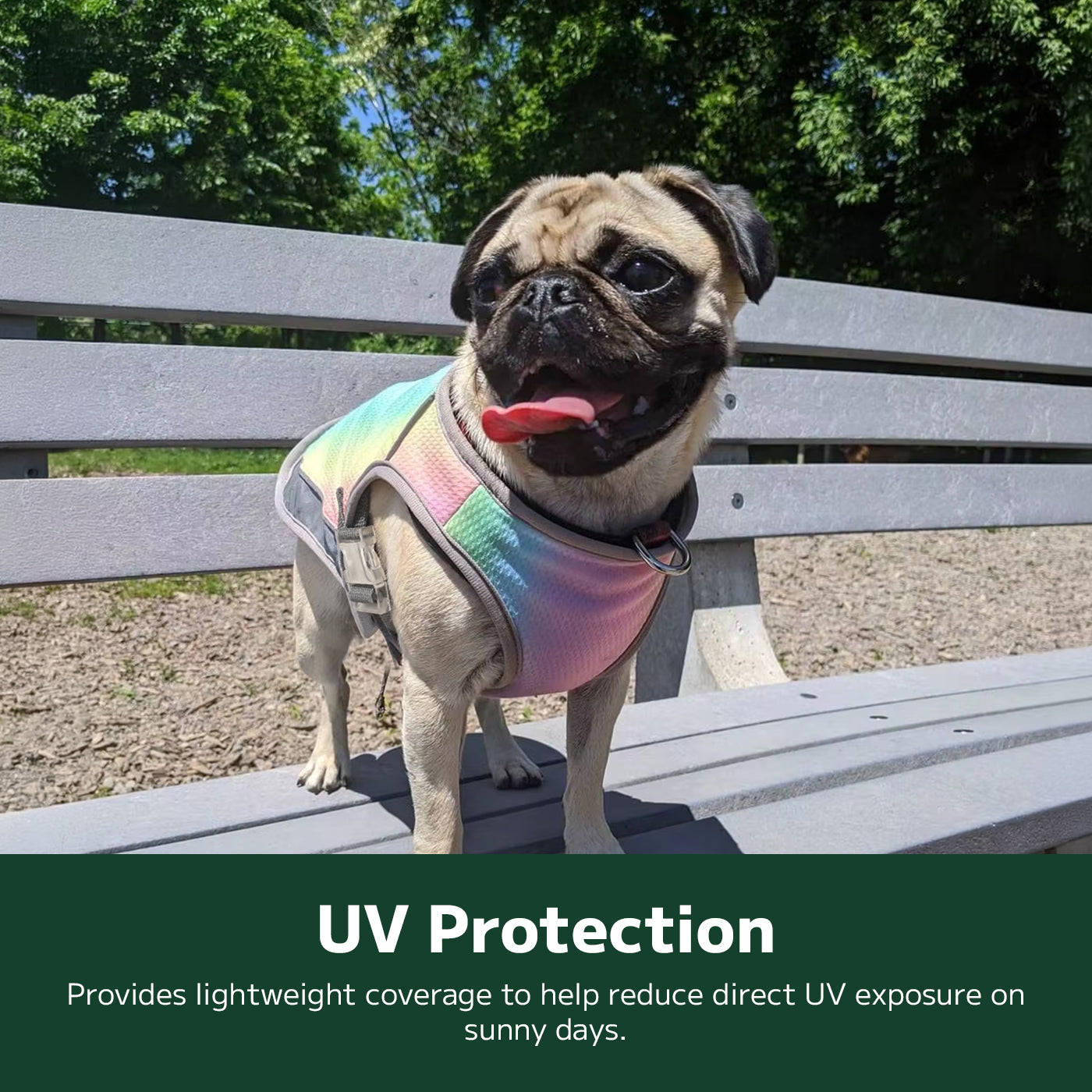 Dog Cooling Vest