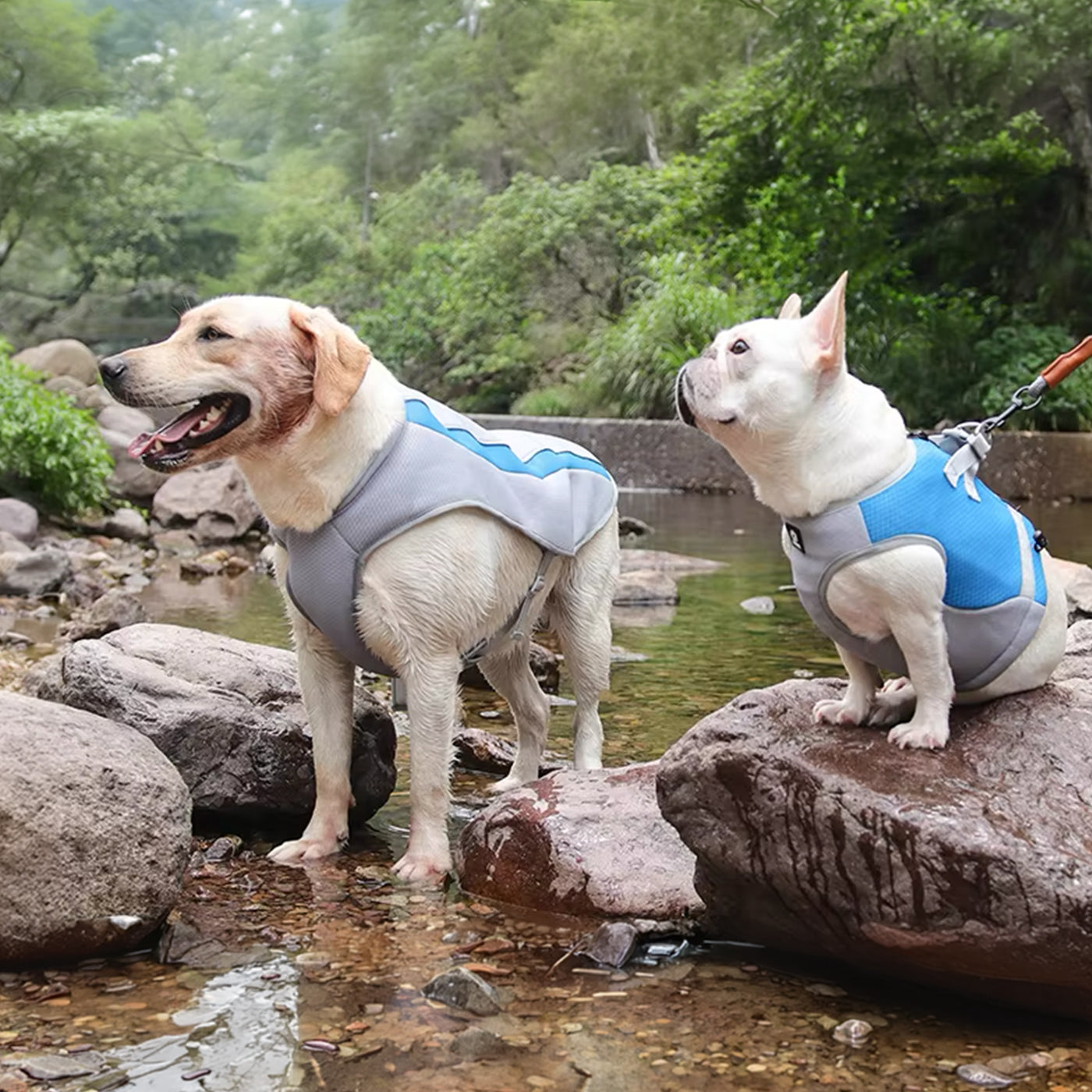 Large Breed Cooling Vest