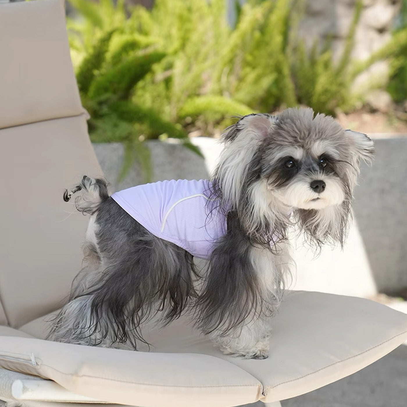 Sunblock Dog Cooling Shirt