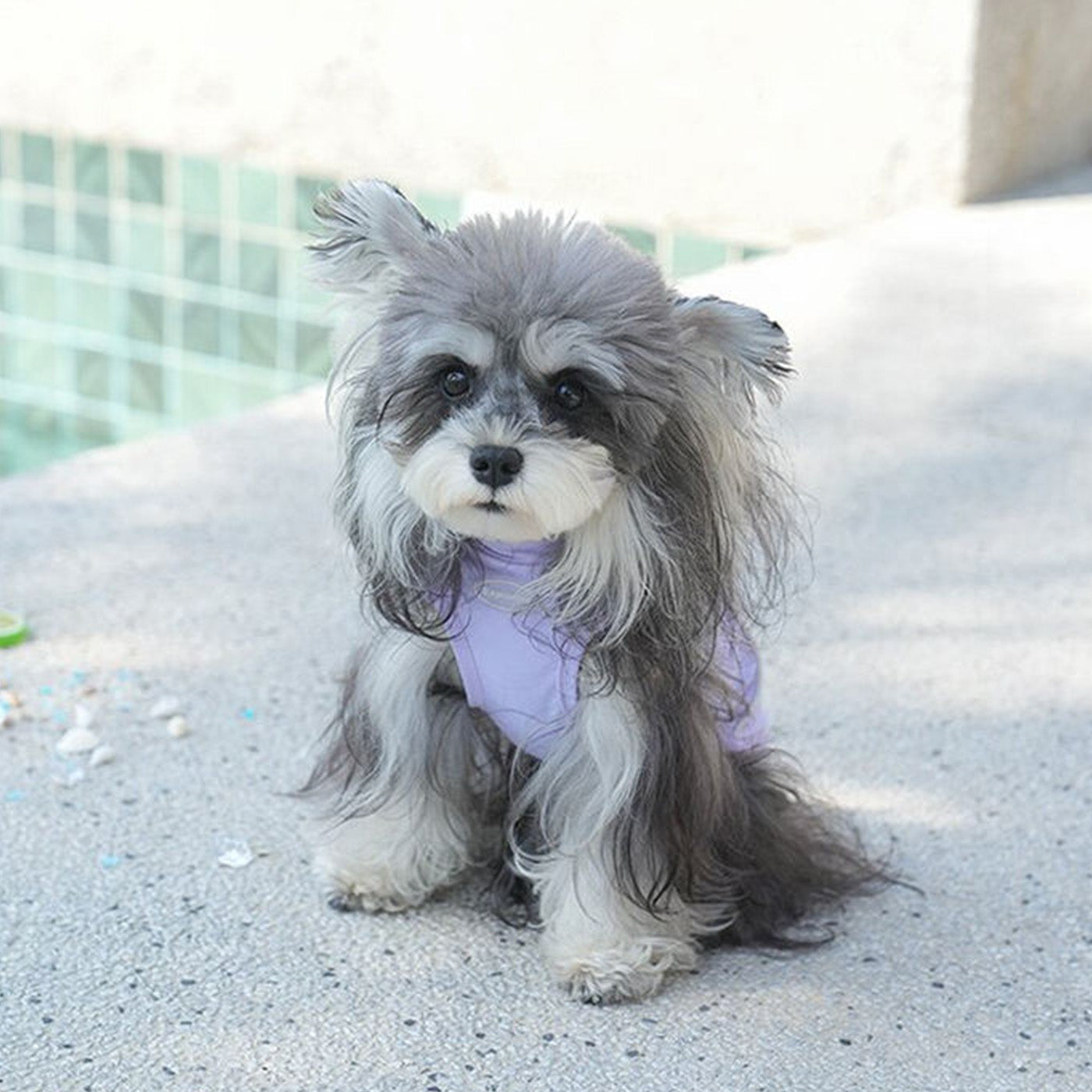 Sunblock Dog Cooling Shirt