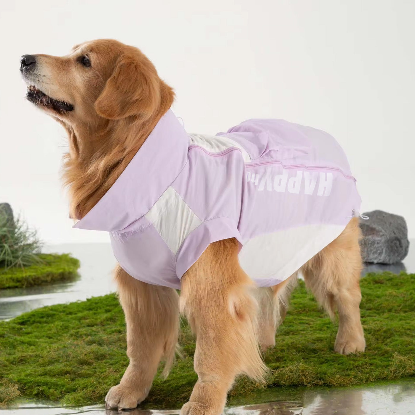 Sunblock Dog Shirt