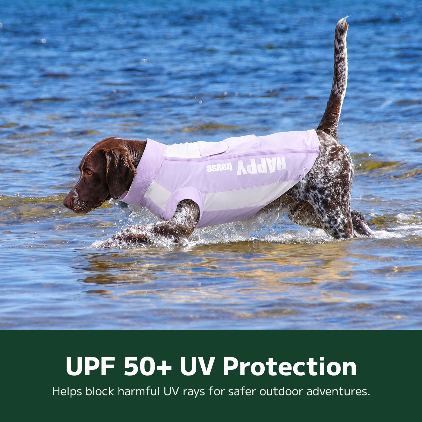 Sunblock Dog Shirt