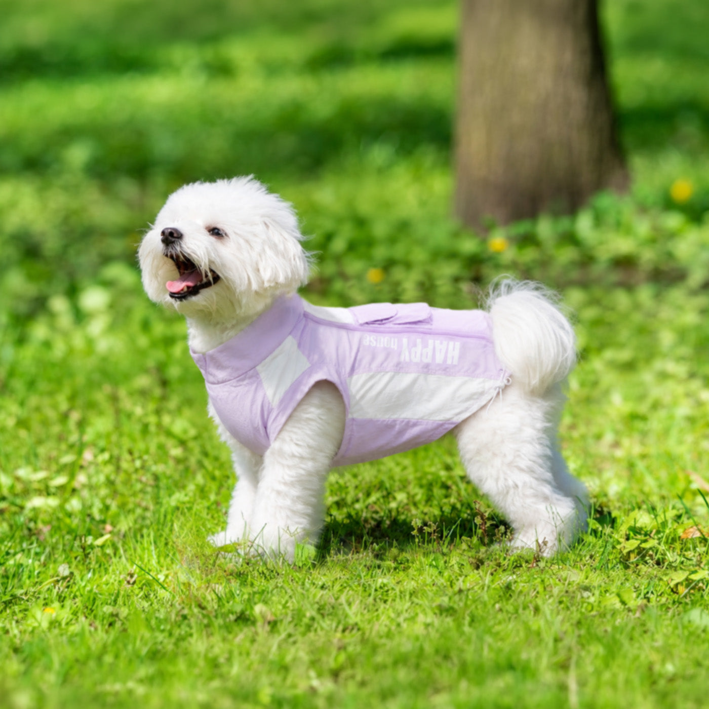 Sunblock Dog Shirt
