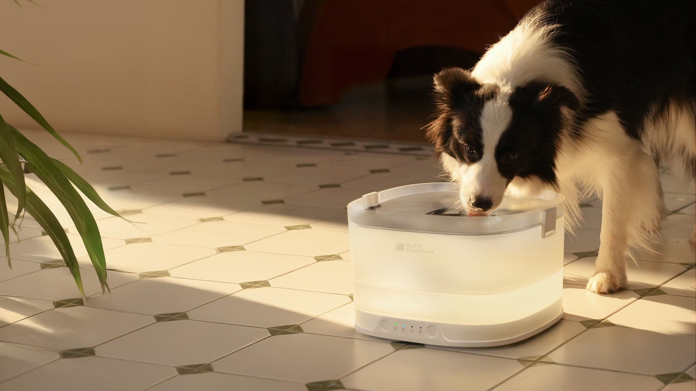 エルフィン給水器 |自然からの流れ