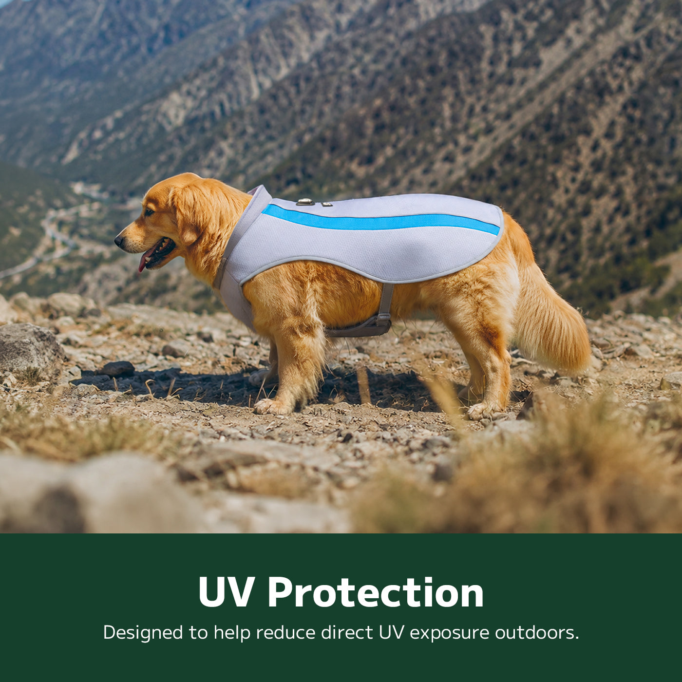 Large Breed Cooling Vest