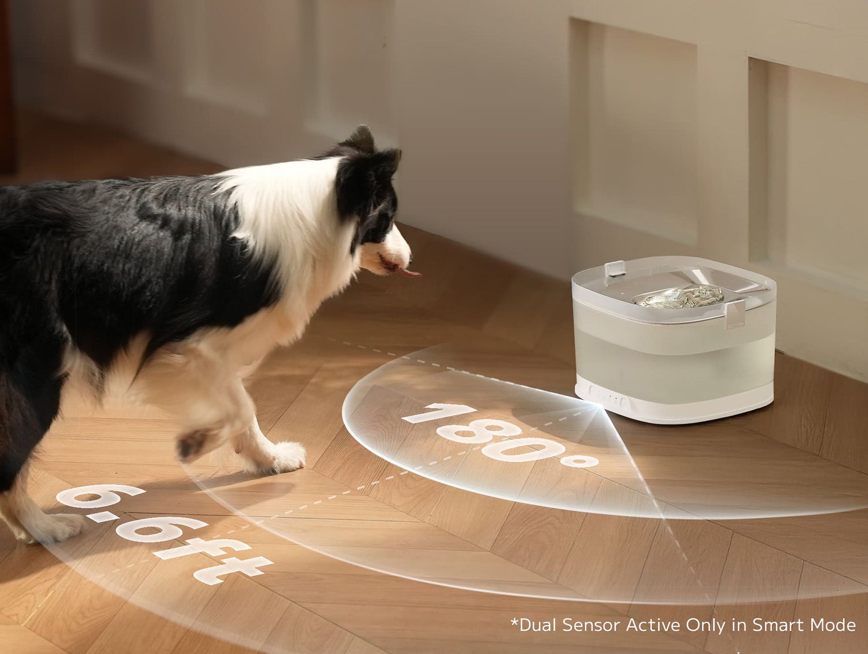 Elfin Fountain D1 Pro