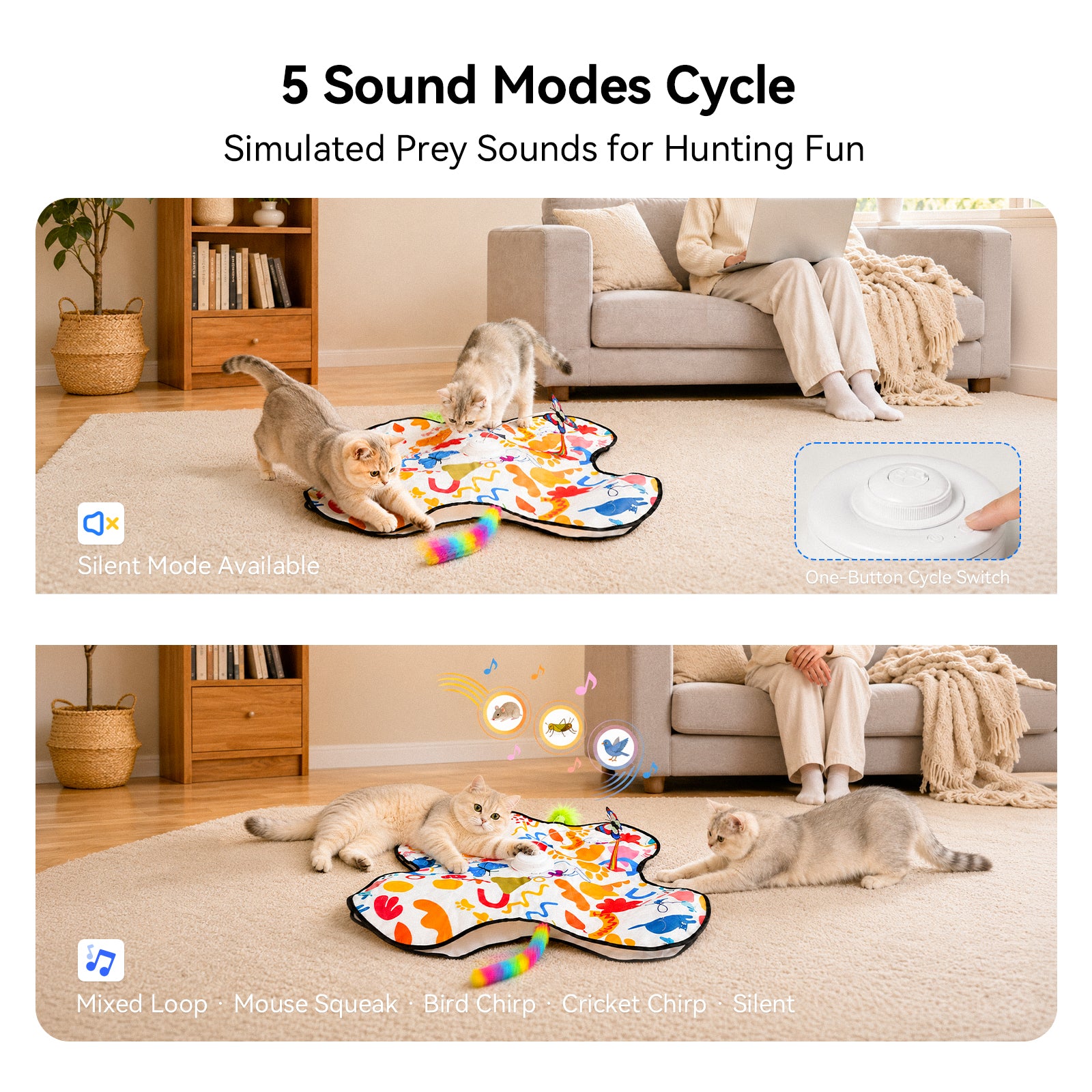 Hide and Seek Cat Toy
