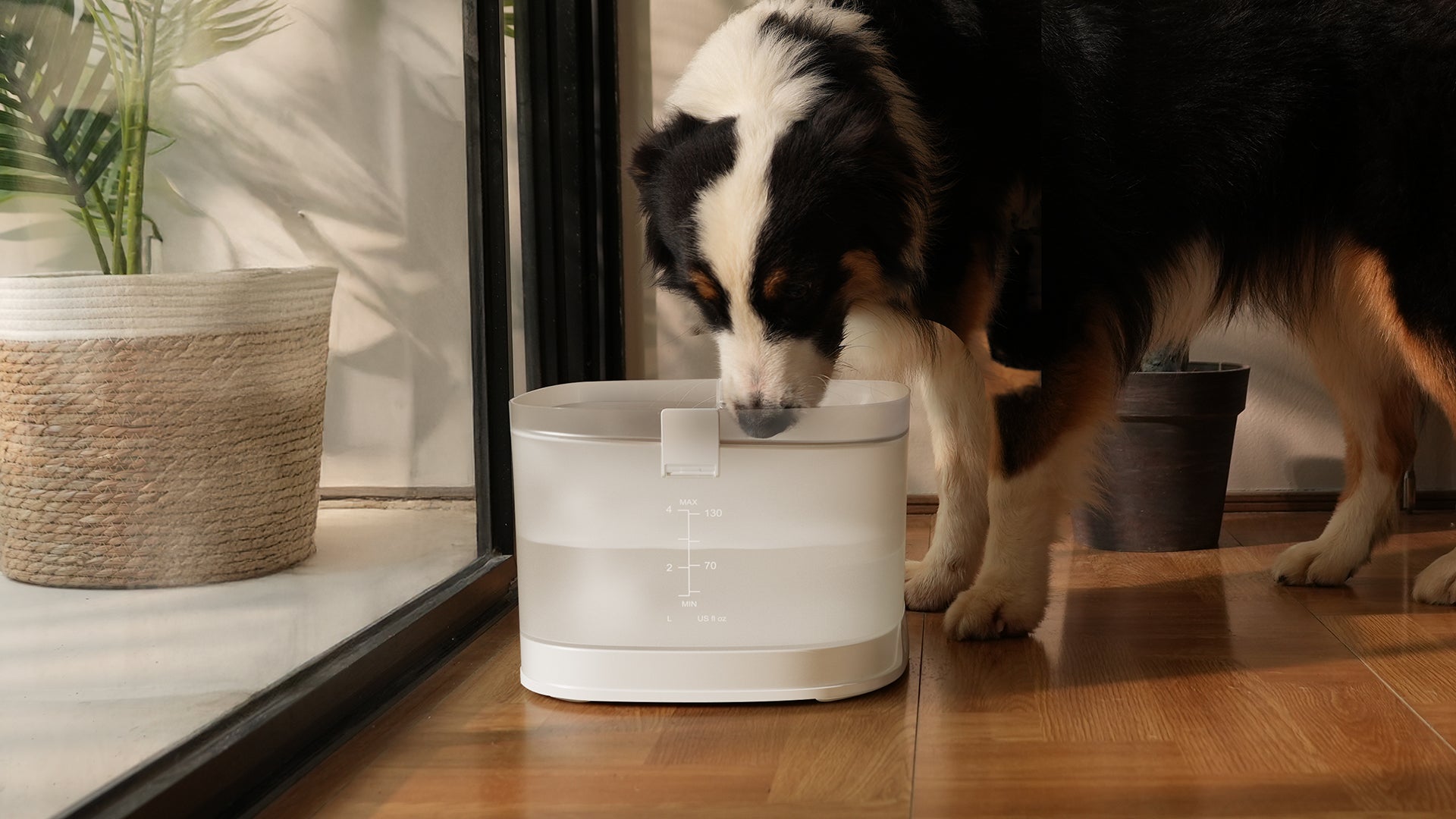 Elfin Fountain D1 Pro