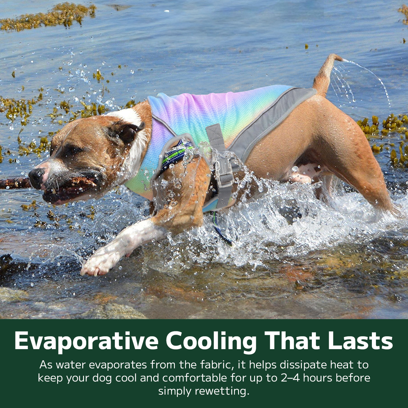 Dog Cooling Vest