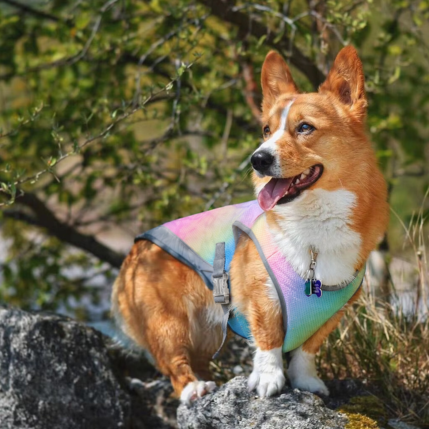 Dog Cooling Vest