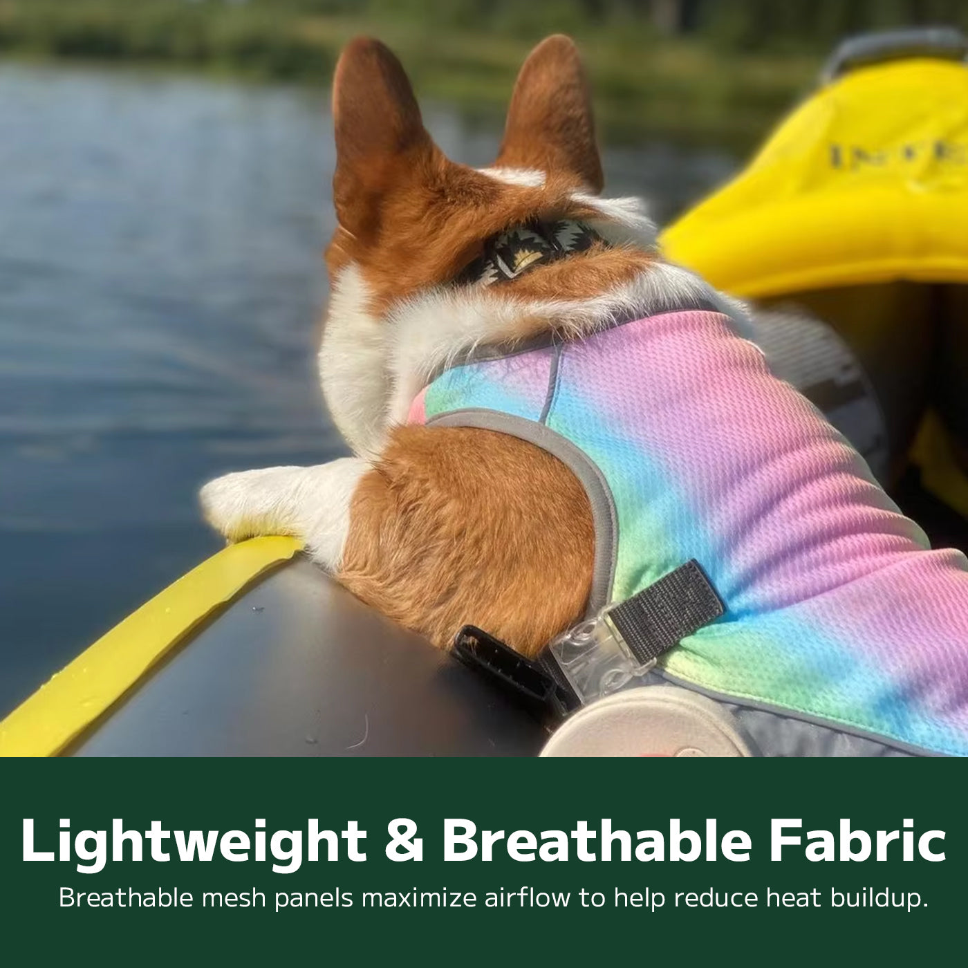 Dog Cooling Vest