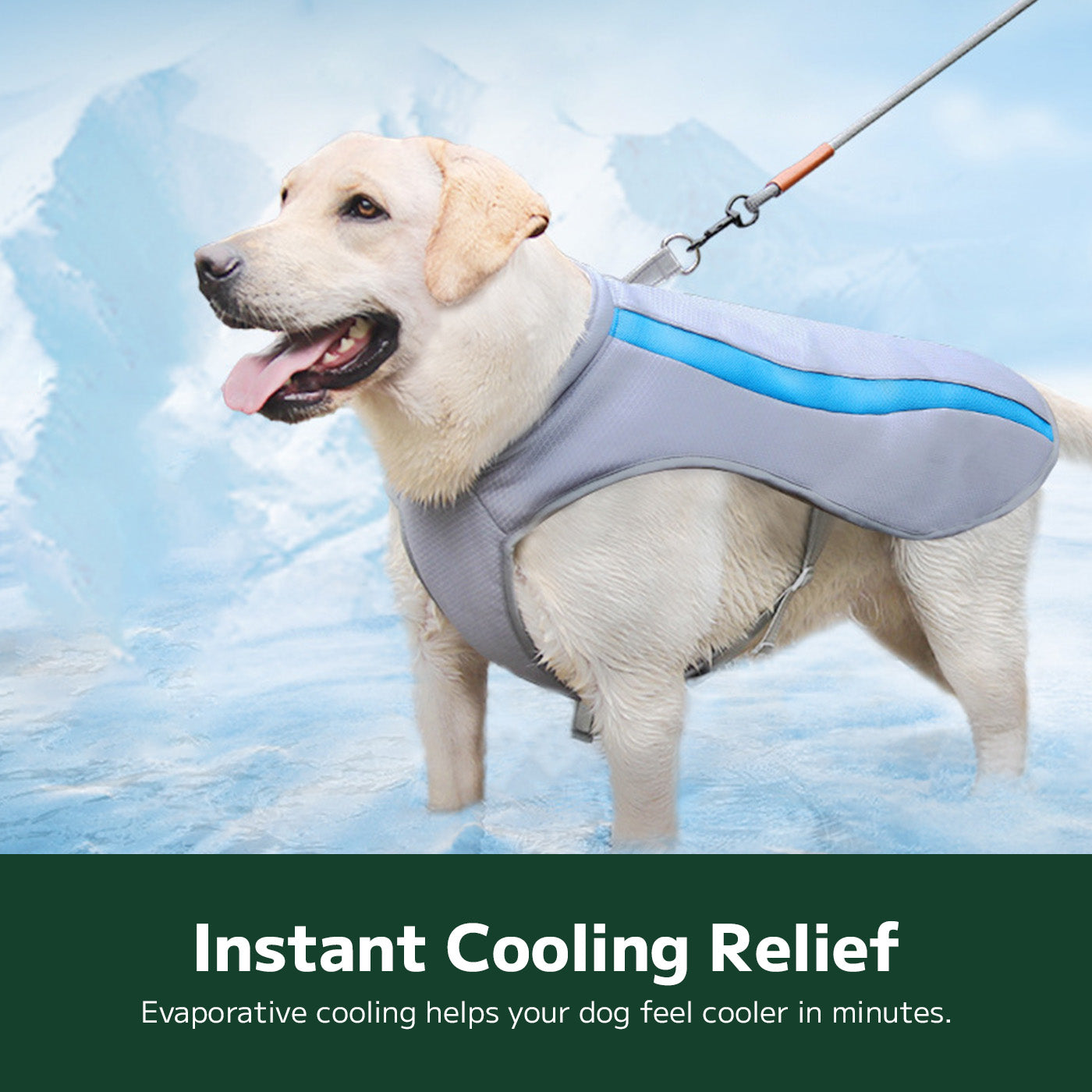 Large Breed Cooling Vest