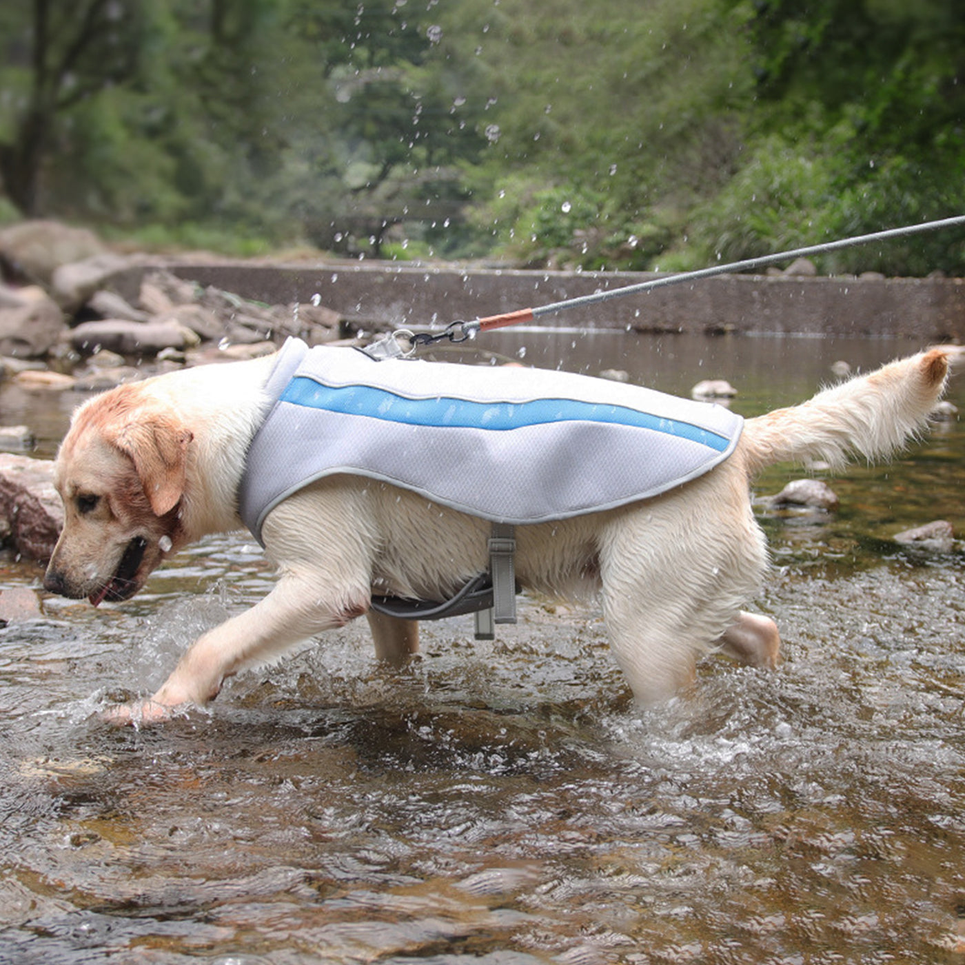 Large Breed Cooling Vest