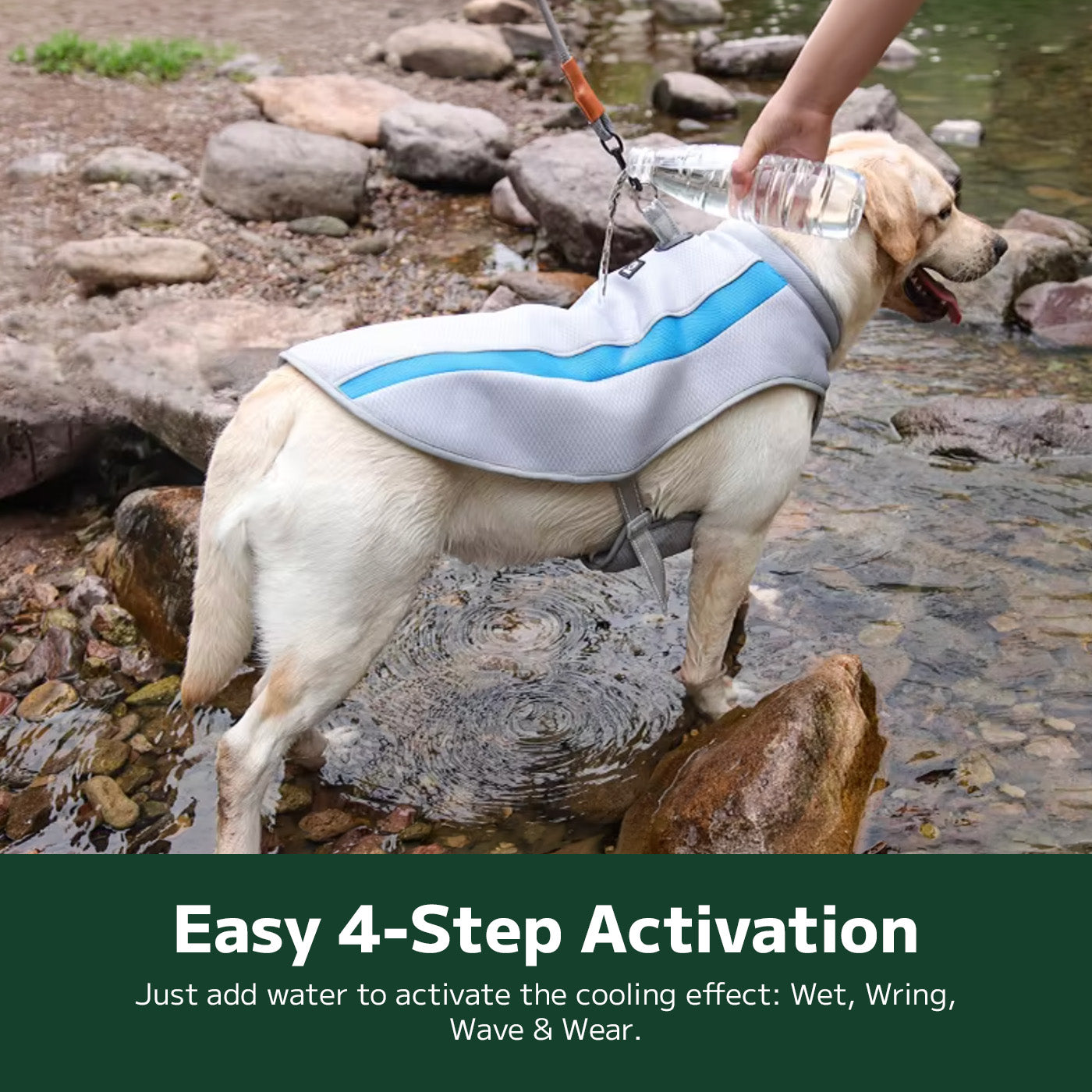 Large Breed Cooling Vest