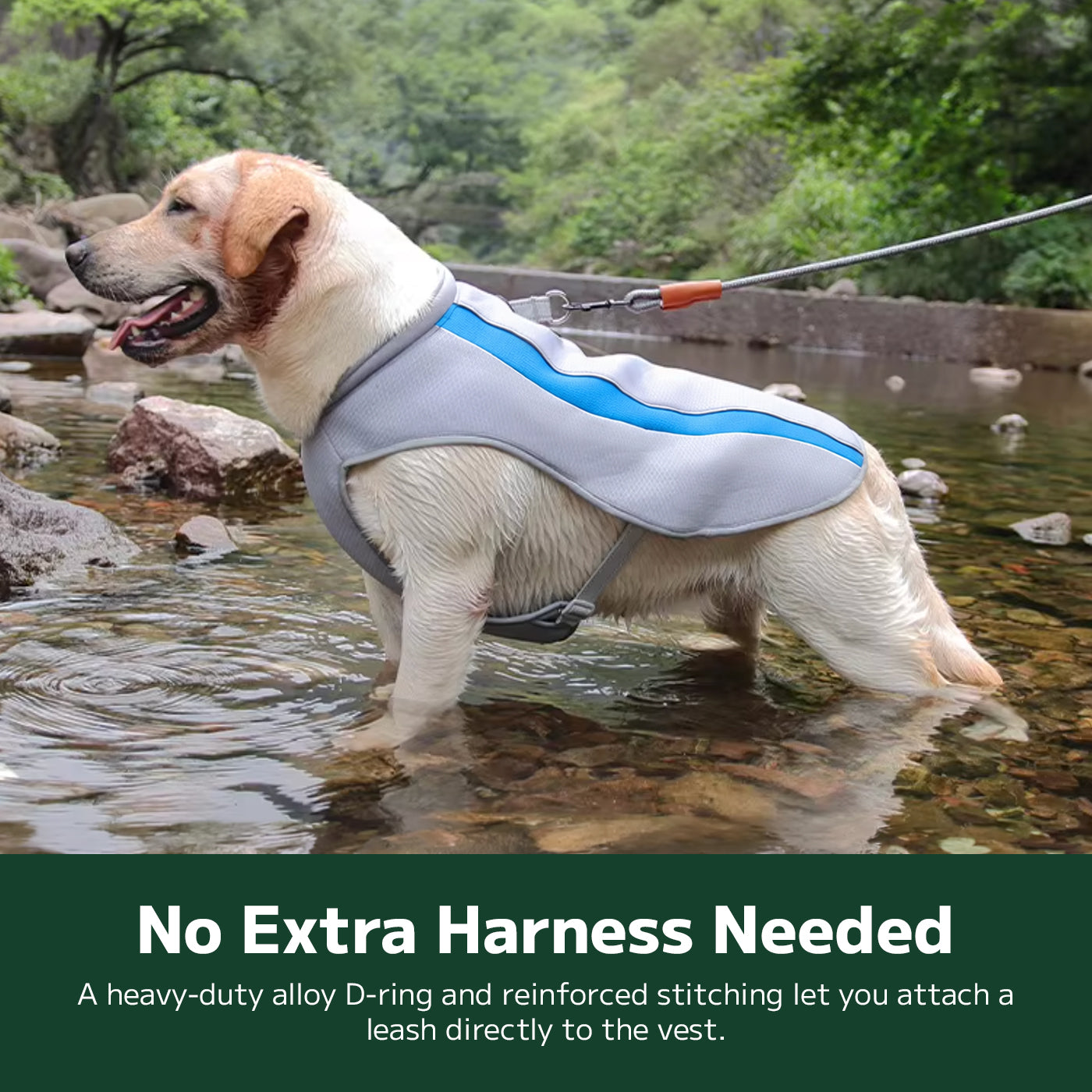 Large Breed Cooling Vest