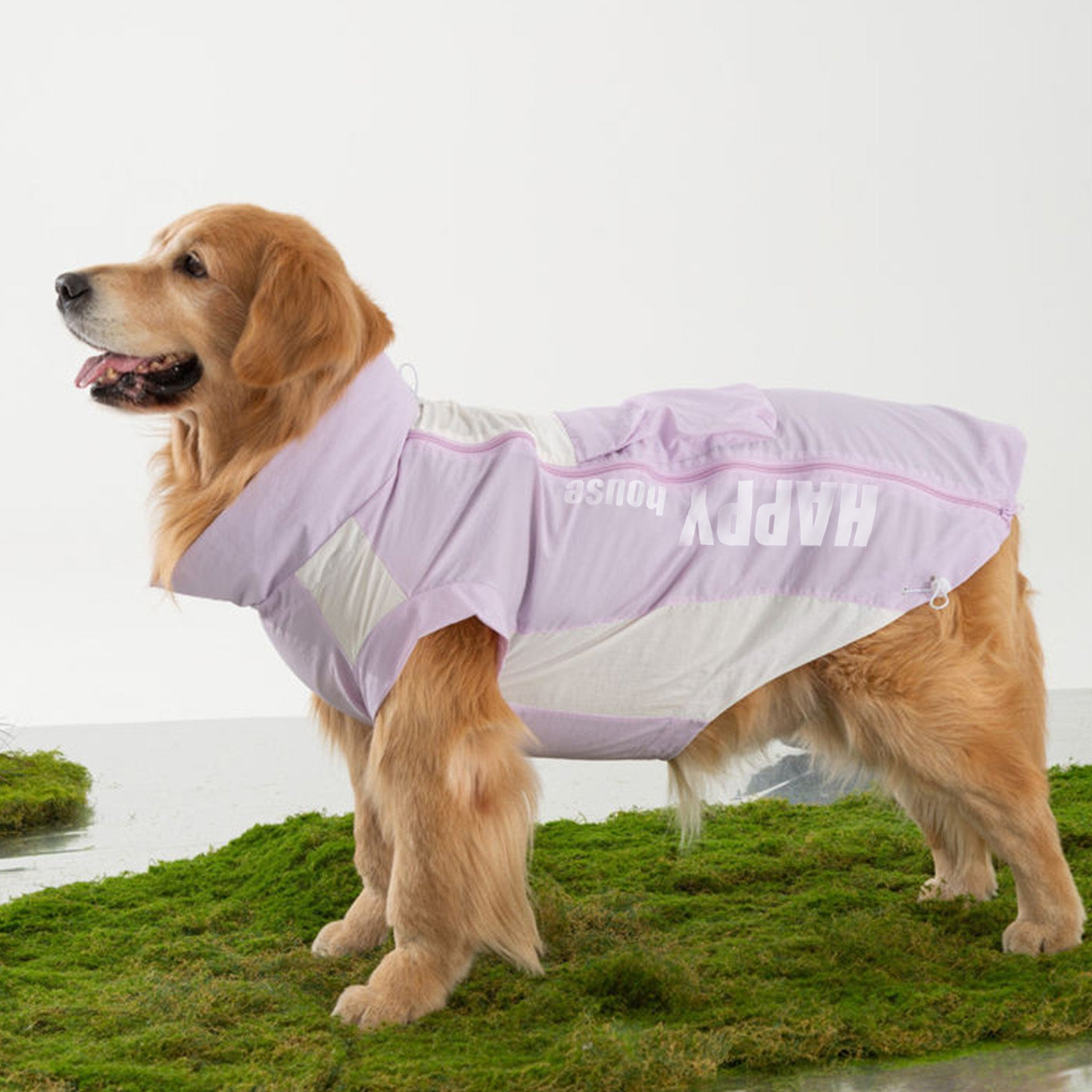 Sunblock Dog Shirt