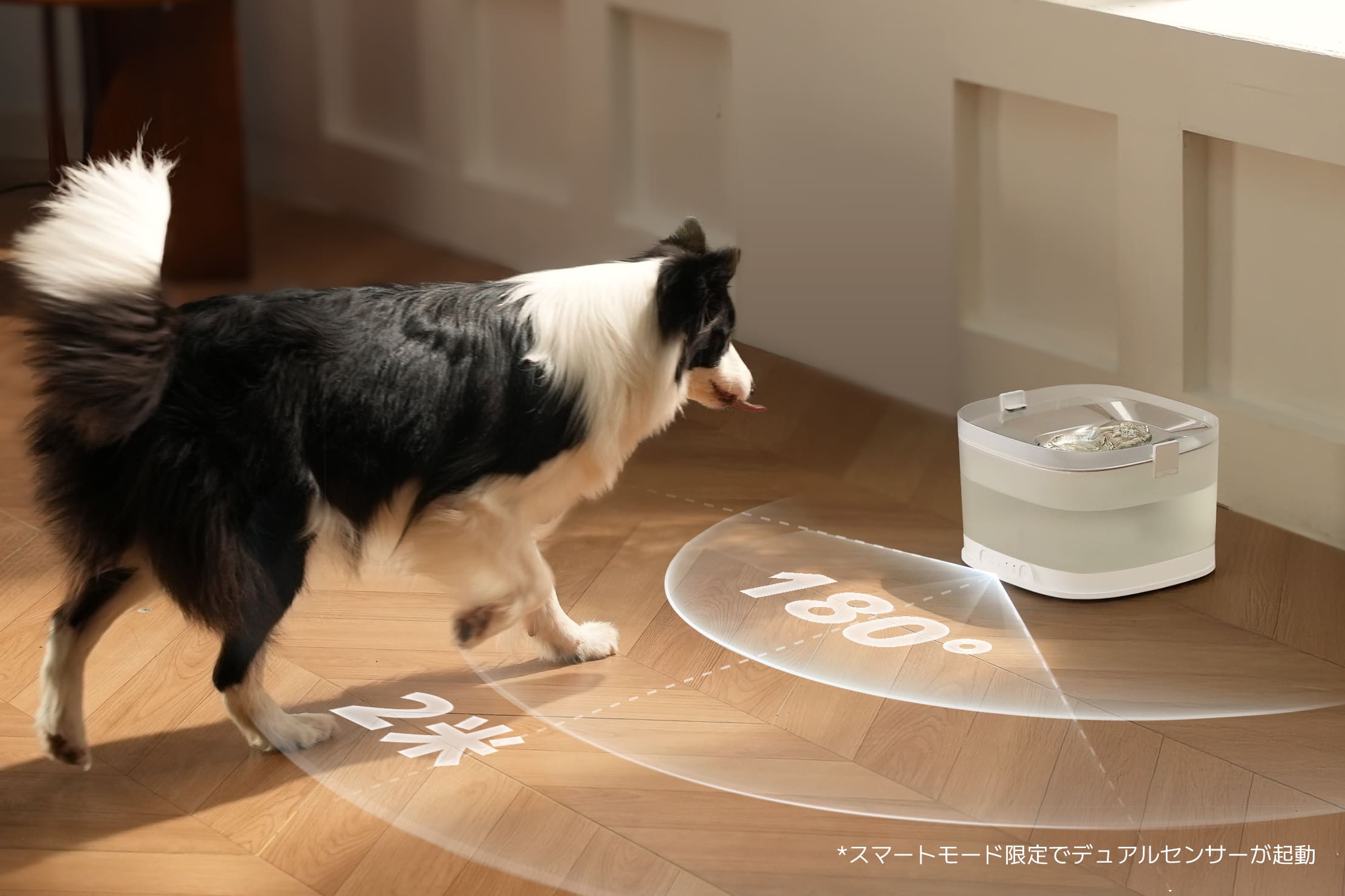 エルフィン給水器D1 Pro